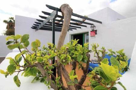 Sa Calma Beach House Costa Teguise Dış mekan fotoğraf